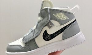 Nike Air Jordan 1 dior