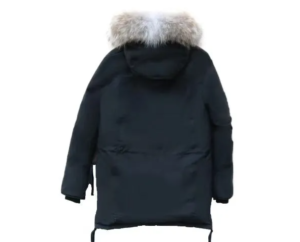 Canada Goose