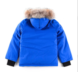 Canada Goose