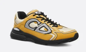 Dior B30 Brown Yellow Grey
