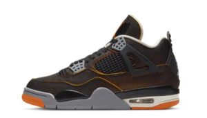 Nike Air Jordan 4 SE Starfish