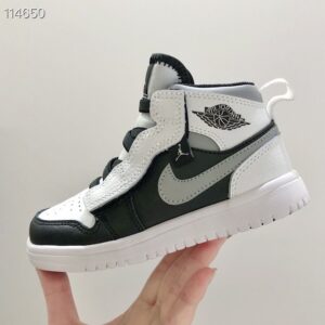 Nike Air Jordan 1 grey