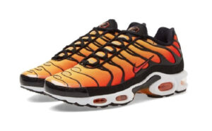 NIKE AIR MAX PLUS TN OG TIGER