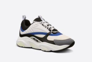 DIOR B22 WHITE BLUE