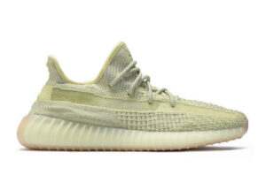 V2 Antlia (Reflective)